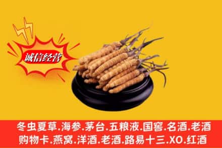 宾县求购回收虫草多少钱每克